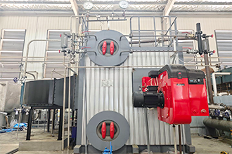 福建龍巖某薯業(yè)公司SZS8-2.5-YQ燃?xì)庹羝仩t